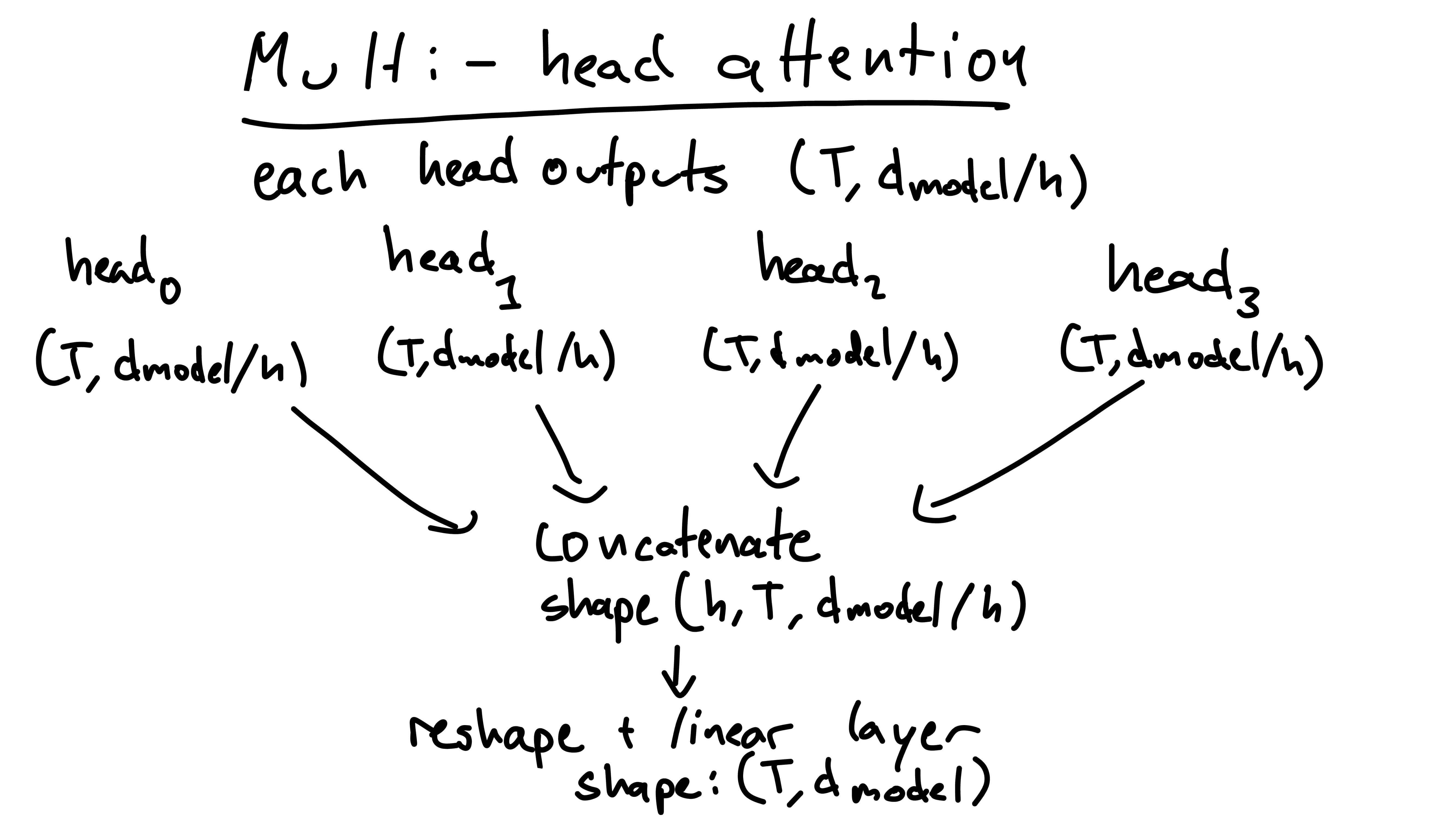 concatenate the head outputs